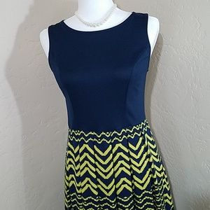 Xhilaration Fit & Flare Pleated Dress